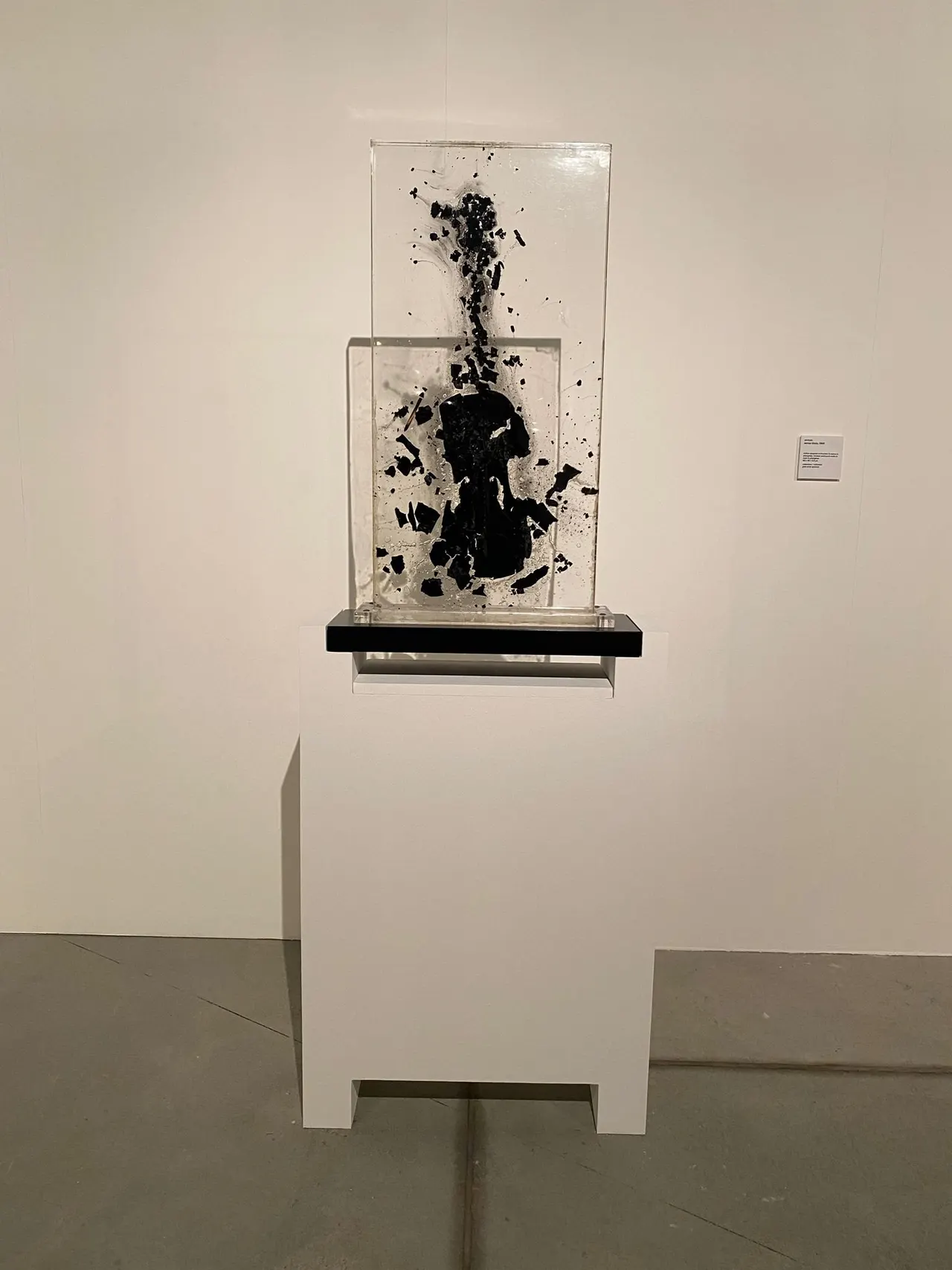 Collezione Olgiati – «Yves Klein e Arman. Le Vide et le Plein» – foto 6