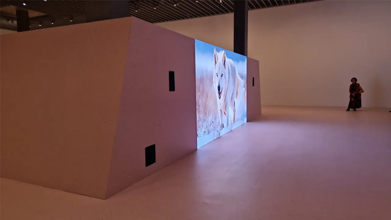 MASI – Shahryar Nashat, «Streams of Spleen» (LAC, P-2) – foto 6