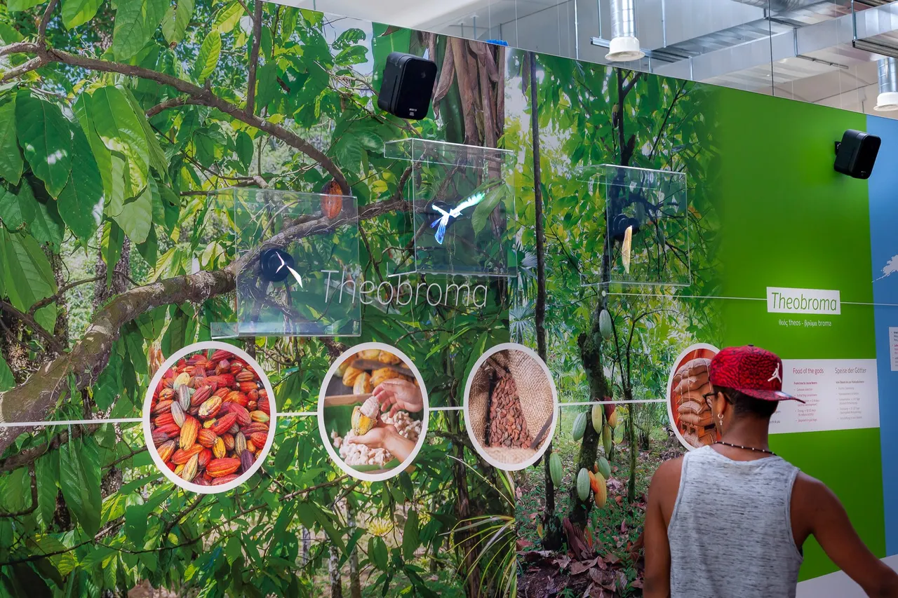 Museo del cioccolato Alprose – Caslano – foto 16