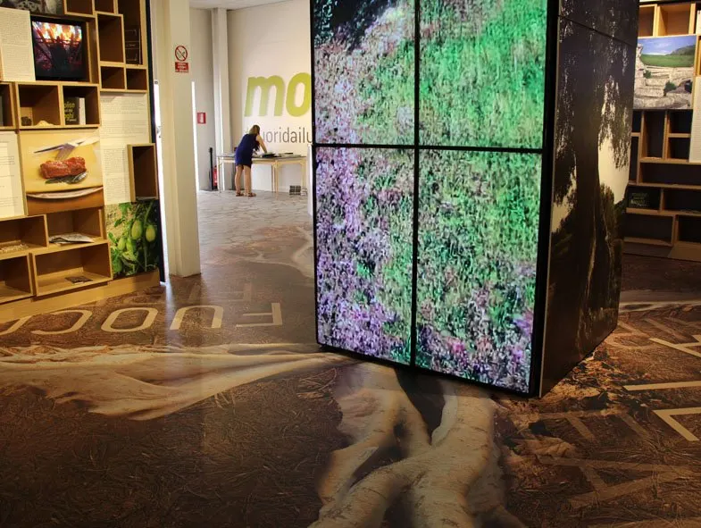 Expo Milano 2015 – spazio Molise – foto 5