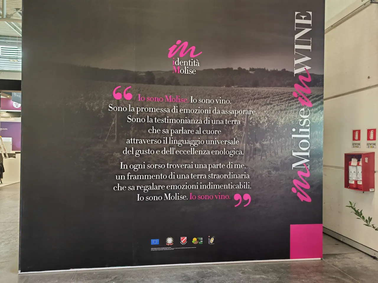 Vinitaly 2025 – Collettiva «Molise Wine» – foto 7