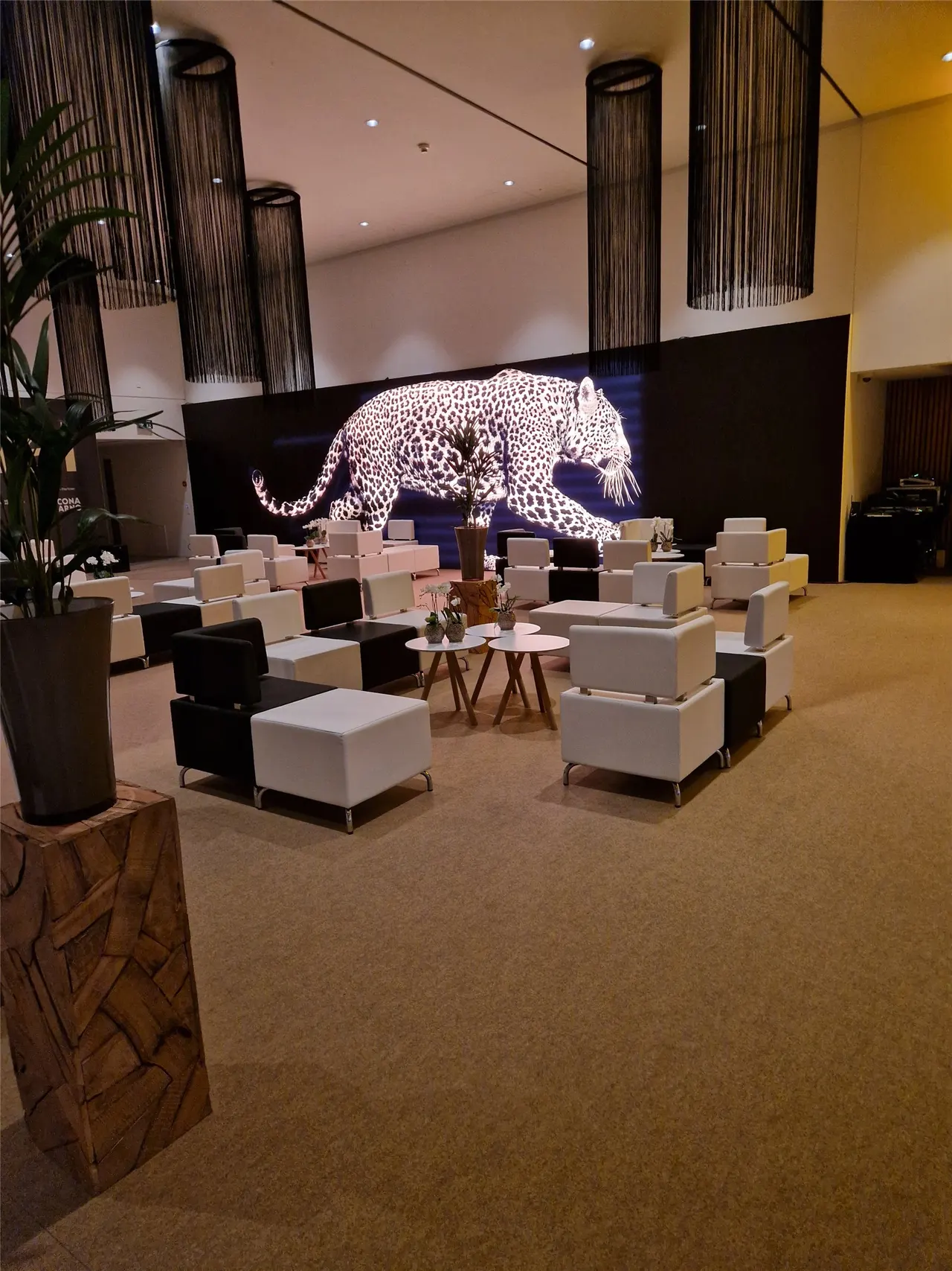 Locarno Film Festival – Palacinema / hospitality