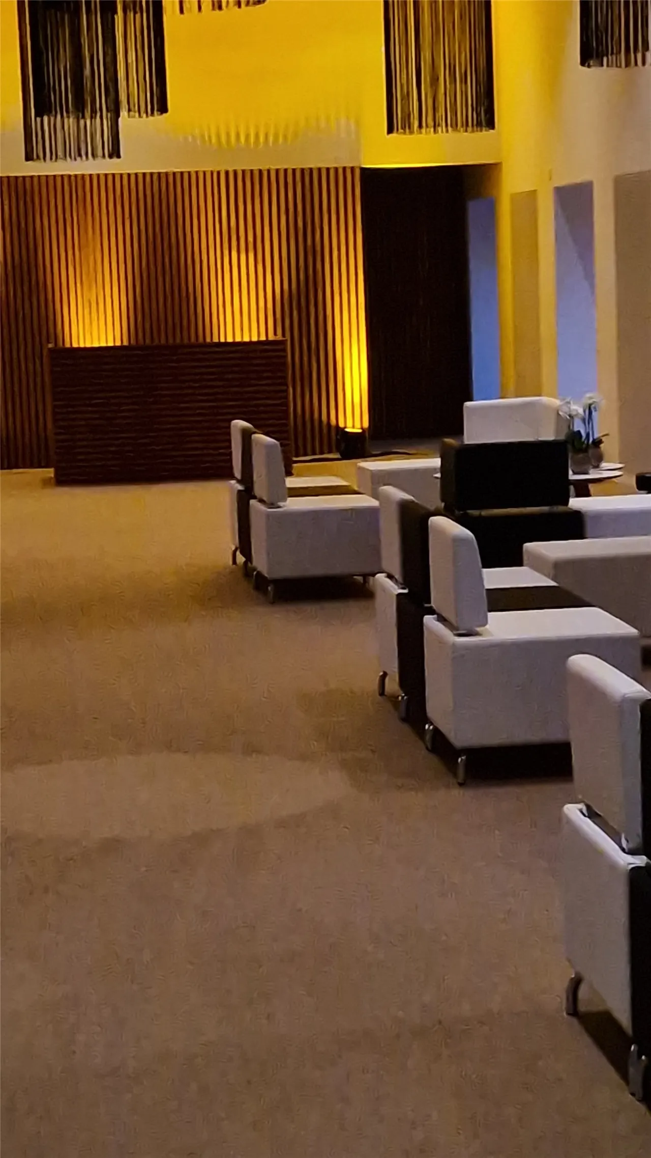 Locarno Film Festival – Palacinema / hospitality – foto 4